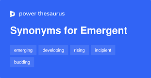 How Emergent Works